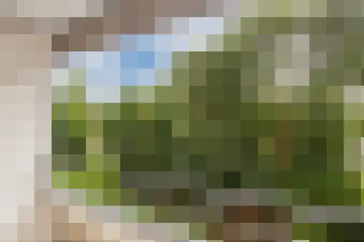 Tafelbergdreef 160 Utrecht thumbnail 17
