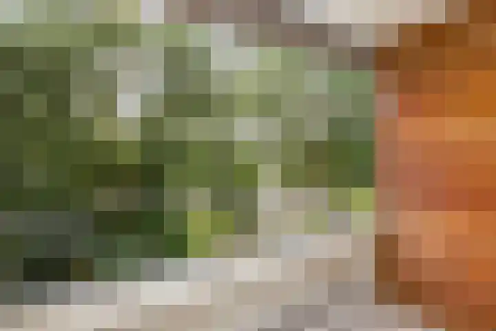 Tafelbergdreef 160 Utrecht thumbnail 18