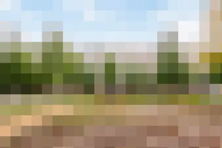 Tafelbergdreef 160 Utrecht thumbnail 19