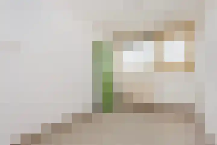 Tafelbergdreef 168 Utrecht thumbnail 11