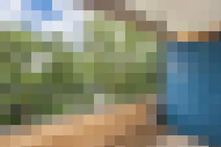 Tafelbergdreef 168 Utrecht thumbnail 17