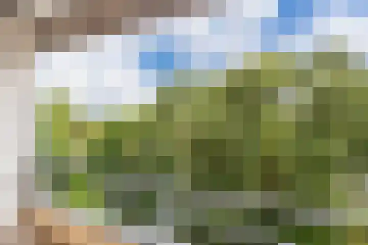 Tafelbergdreef 168 Utrecht thumbnail 18