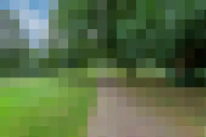 Tafelbergdreef 168 Utrecht thumbnail 22