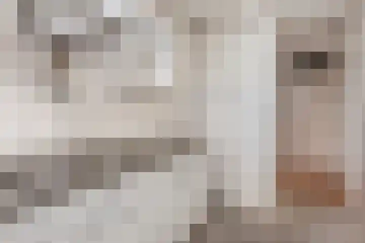 Tafelbergdreef 168 Utrecht thumbnail 8