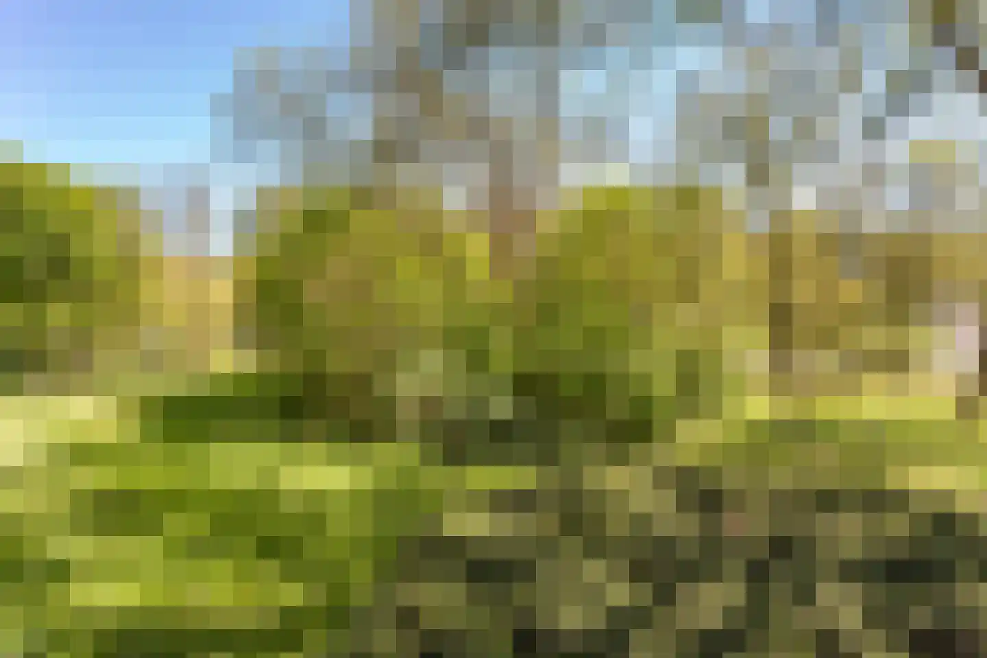 Tafelbergdreef 188 Utrecht thumbnail 13