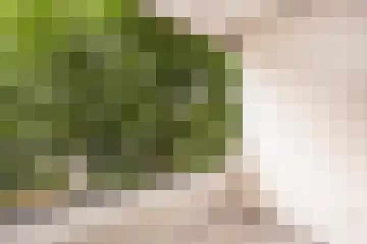 Tafelbergdreef 196 Utrecht thumbnail 19