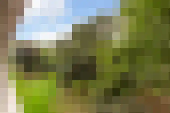 Tafelbergdreef 196 Utrecht thumbnail 20