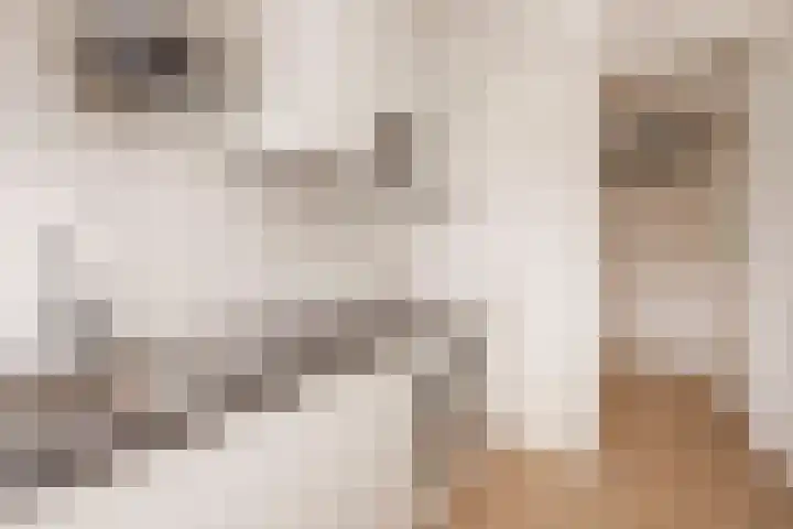 Tafelbergdreef 196 Utrecht thumbnail 7