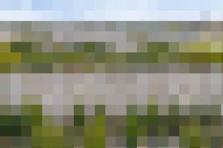 Tafelbergdreef 2 Utrecht thumbnail 19