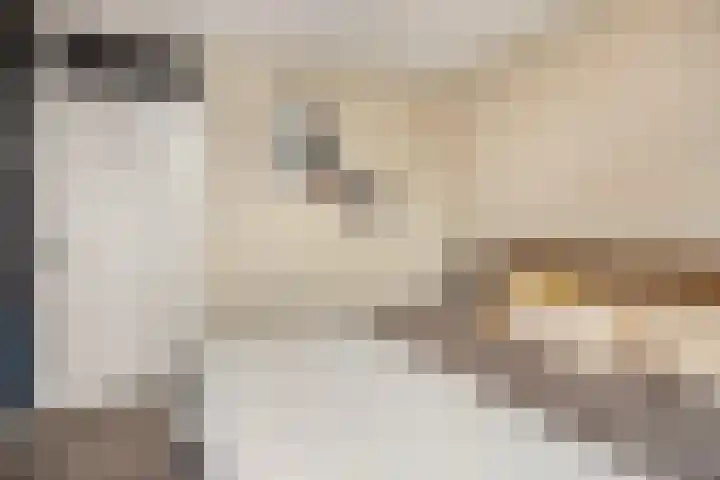 Tafelbergdreef 200 Utrecht thumbnail 10