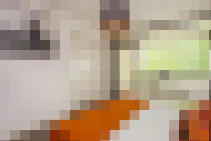 Tafelbergdreef 200 Utrecht thumbnail 13