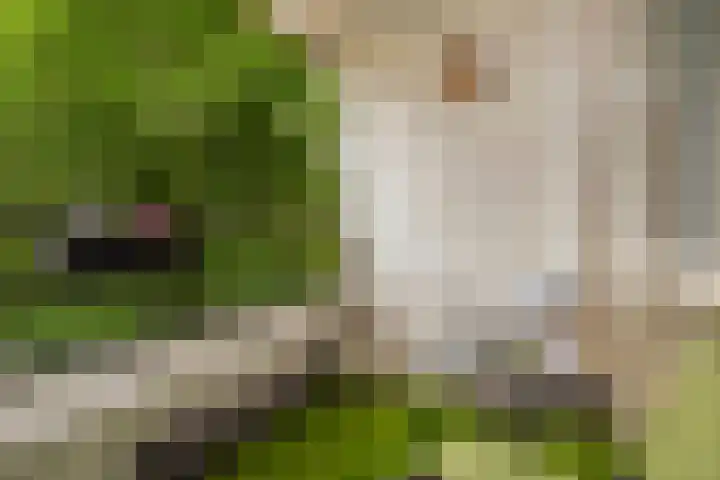 Tafelbergdreef 200 Utrecht thumbnail 14