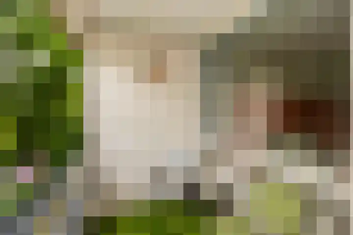 Tafelbergdreef 200 Utrecht thumbnail 15