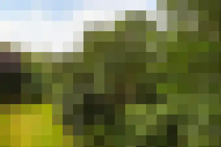 Tafelbergdreef 200 Utrecht thumbnail 16
