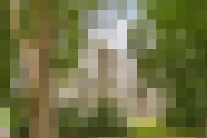 Tafelbergdreef 200 Utrecht thumbnail 25