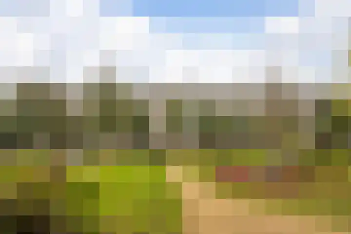 Tafelbergdreef 200 Utrecht thumbnail 26
