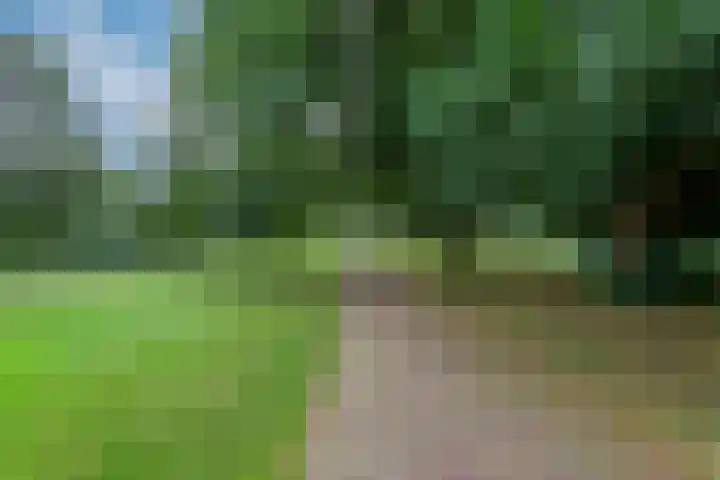 Tafelbergdreef 200 Utrecht thumbnail 32