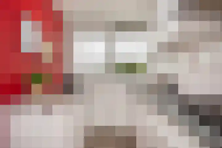 Tafelbergdreef 200 Utrecht thumbnail 8