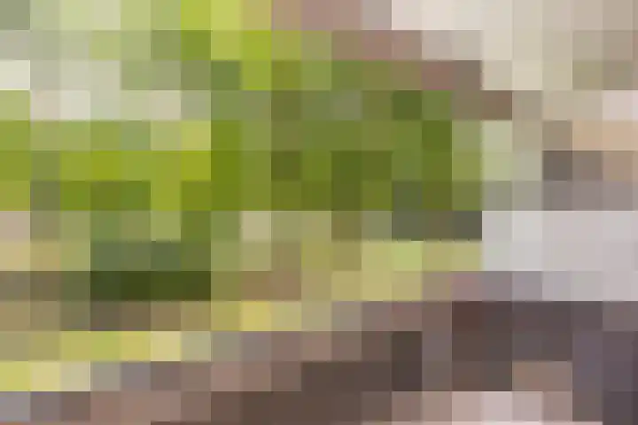Tafelbergdreef 4 Utrecht thumbnail 15