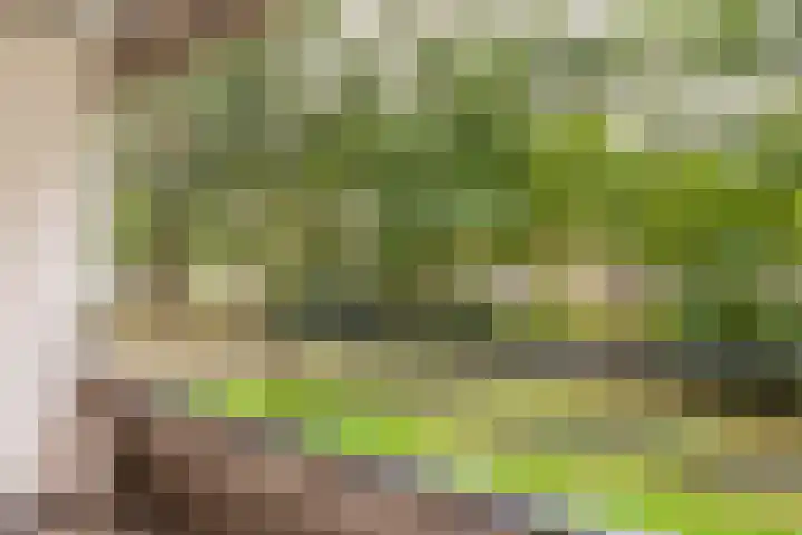 Tafelbergdreef 4 Utrecht thumbnail 16