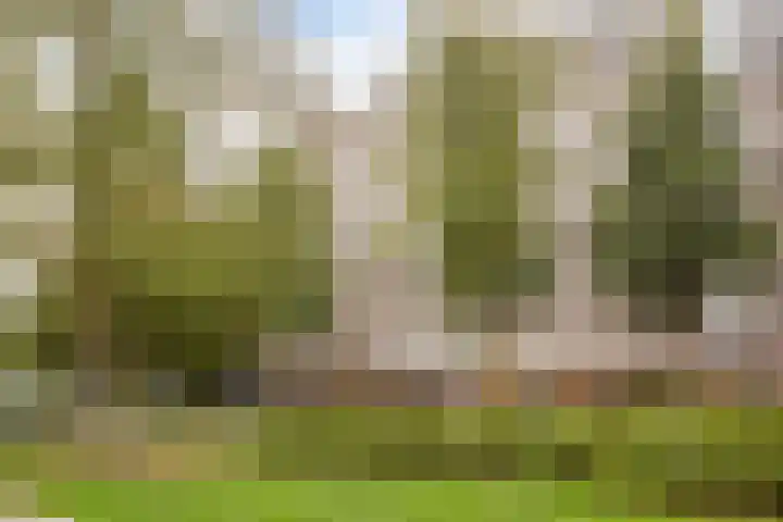 Tafelbergdreef 4 Utrecht thumbnail 17