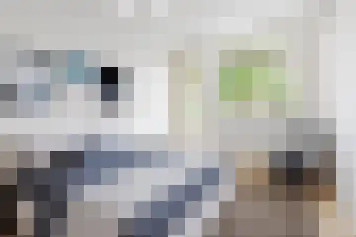 Tafelbergdreef 4 Utrecht thumbnail 9