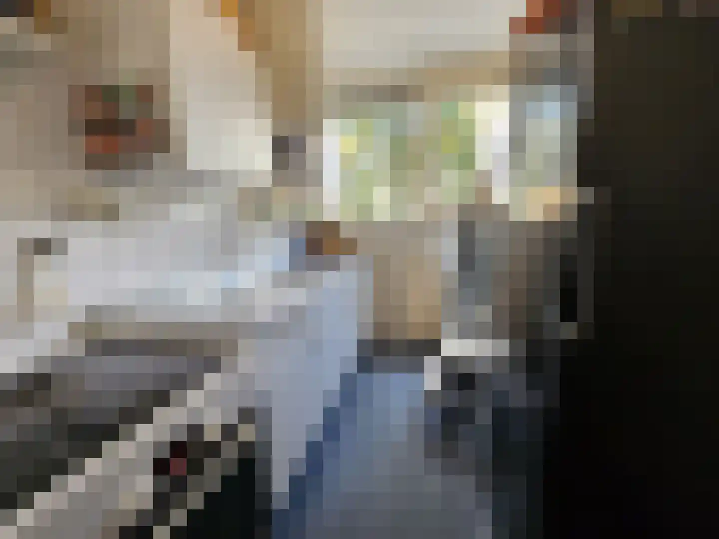 Tafelbergdreef 6 Utrecht thumbnail 11
