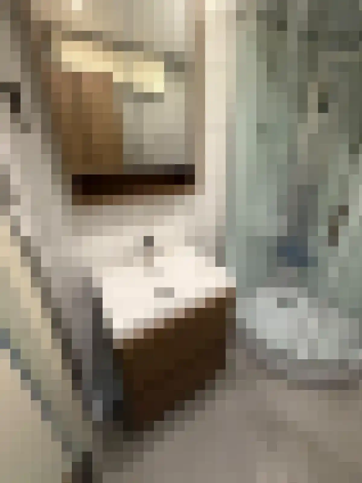 Tafelbergdreef 6 Utrecht thumbnail 19