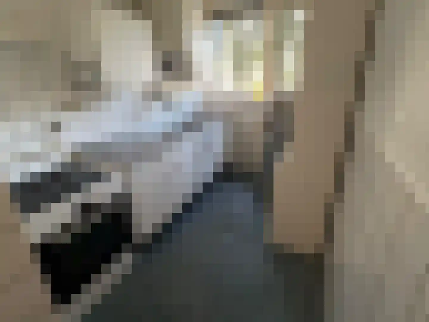 Tafelbergdreef 6 Utrecht thumbnail 23