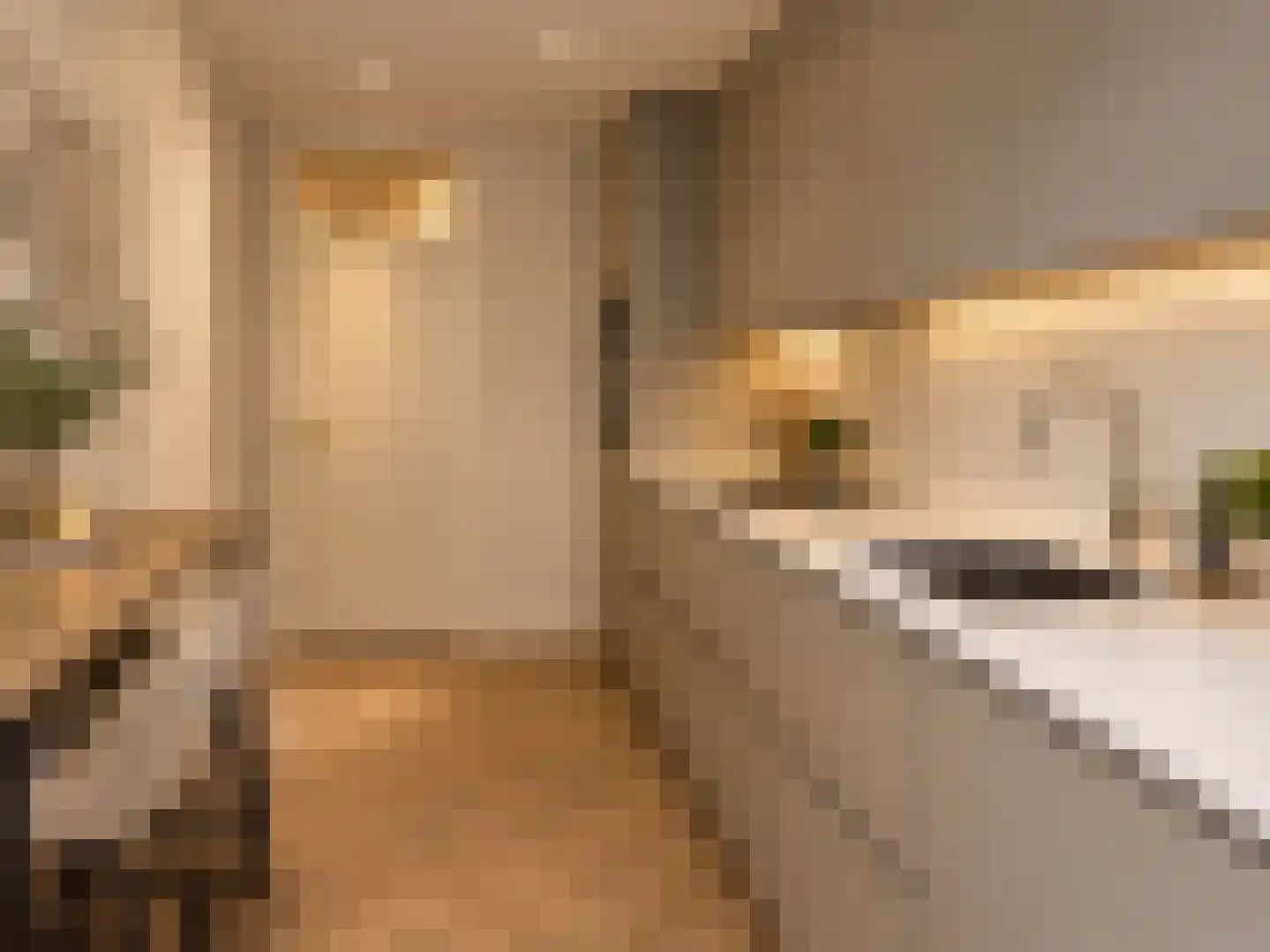 Tafelbergdreef 6 Utrecht thumbnail 25