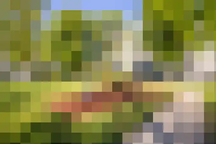 Tafelbergdreef 60 Utrecht thumbnail 31