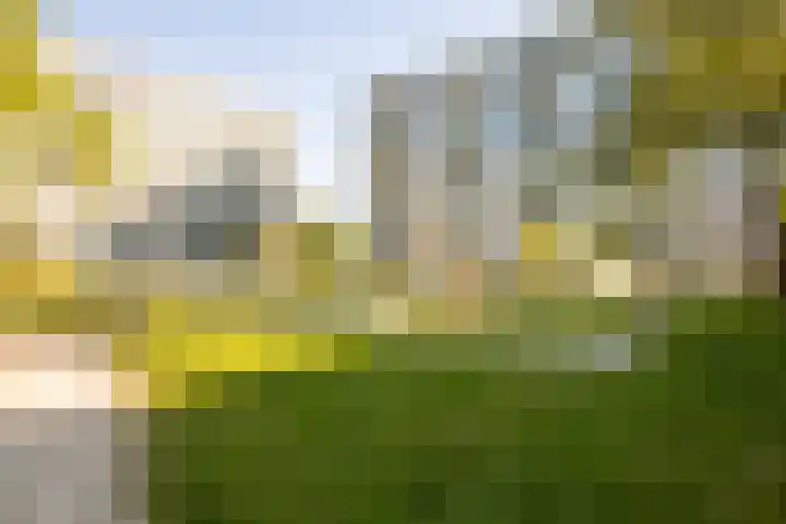 Tafelbergdreef 60 Utrecht thumbnail 32