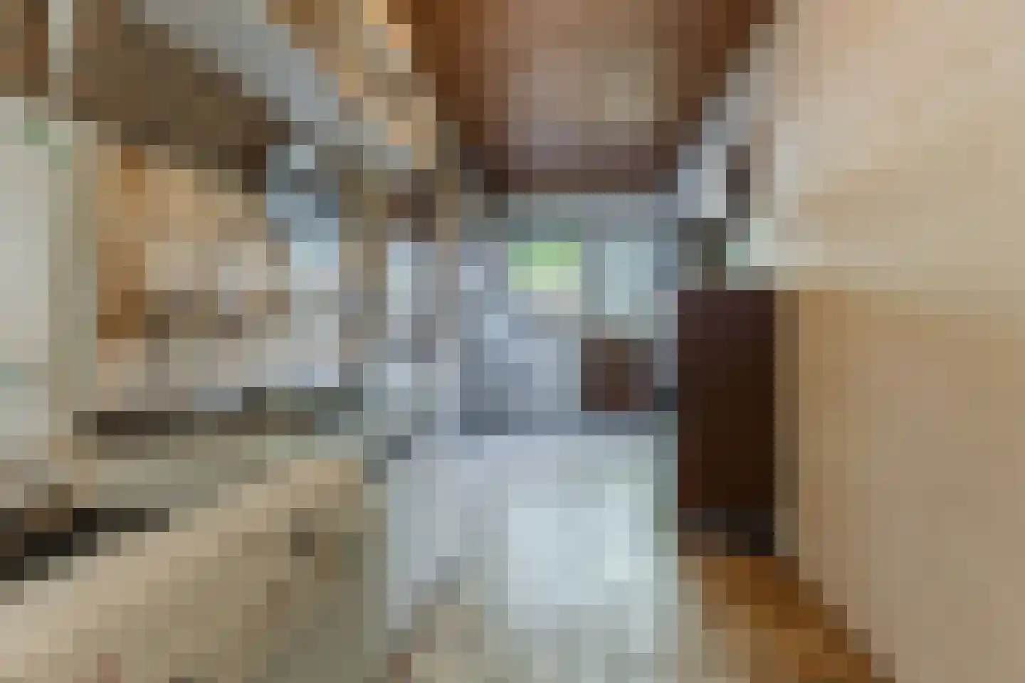 Tafelbergplein 5 Eindhoven thumbnail 12