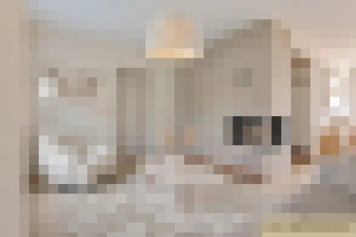 Tafelbergplein 5 Eindhoven thumbnail 13