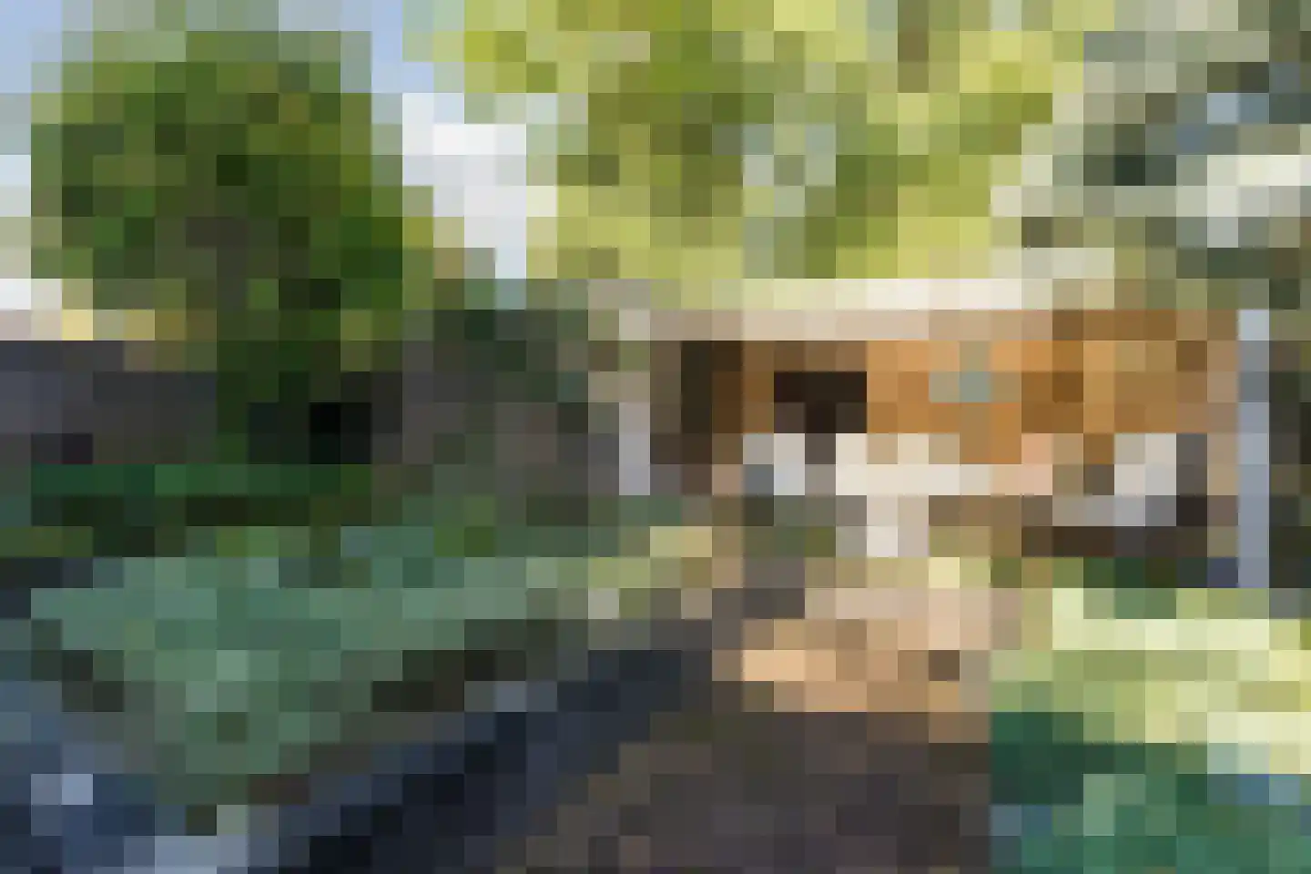 Tafelbergplein 5 Eindhoven thumbnail 31