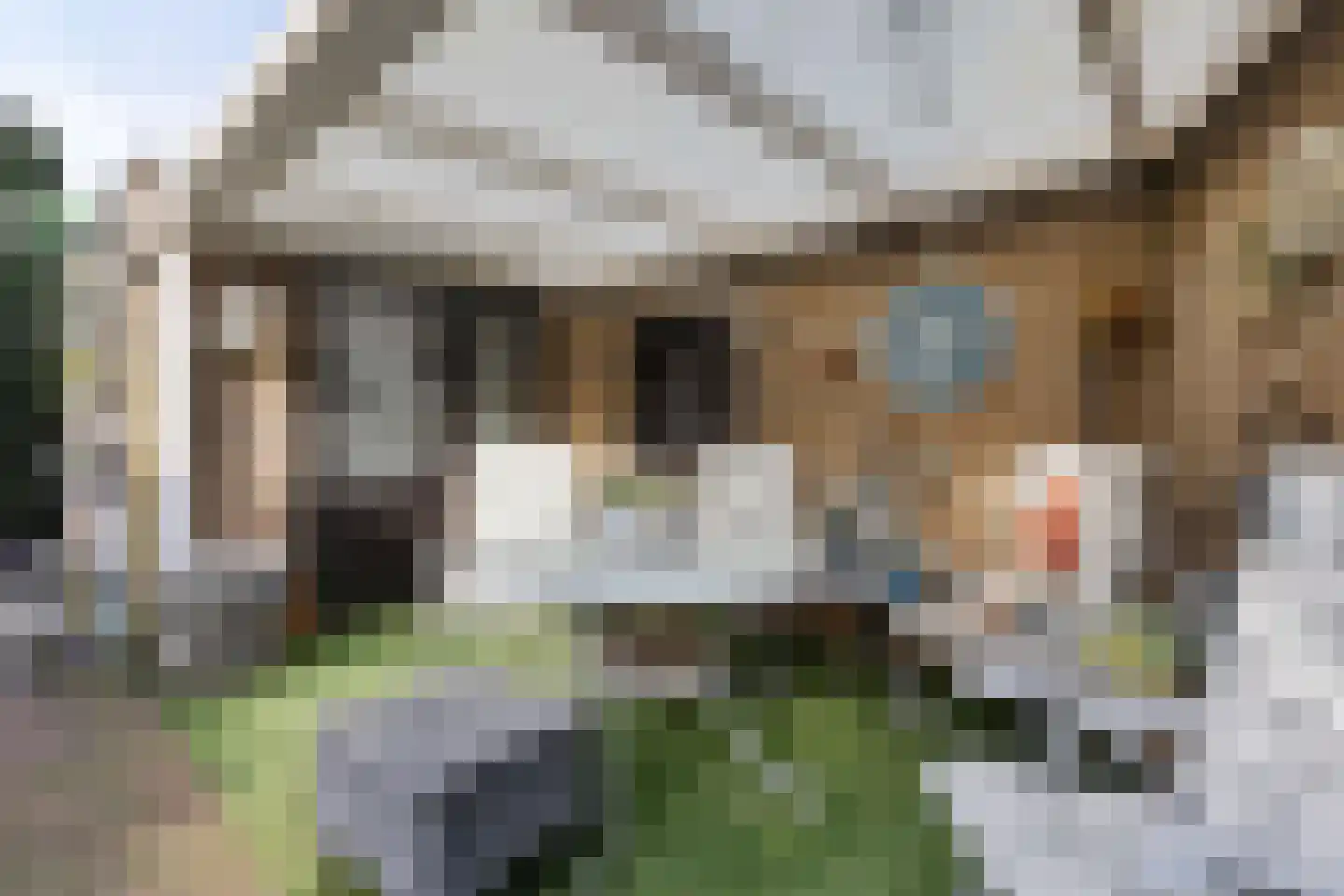 Tafelbergplein 5 Eindhoven thumbnail 42