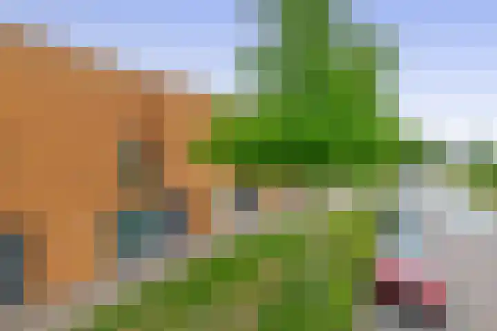 Taftstraat 17 Helmond thumbnail 10