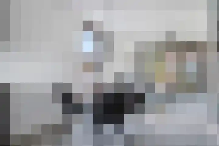 Taftstraat 33 Helmond thumbnail 19
