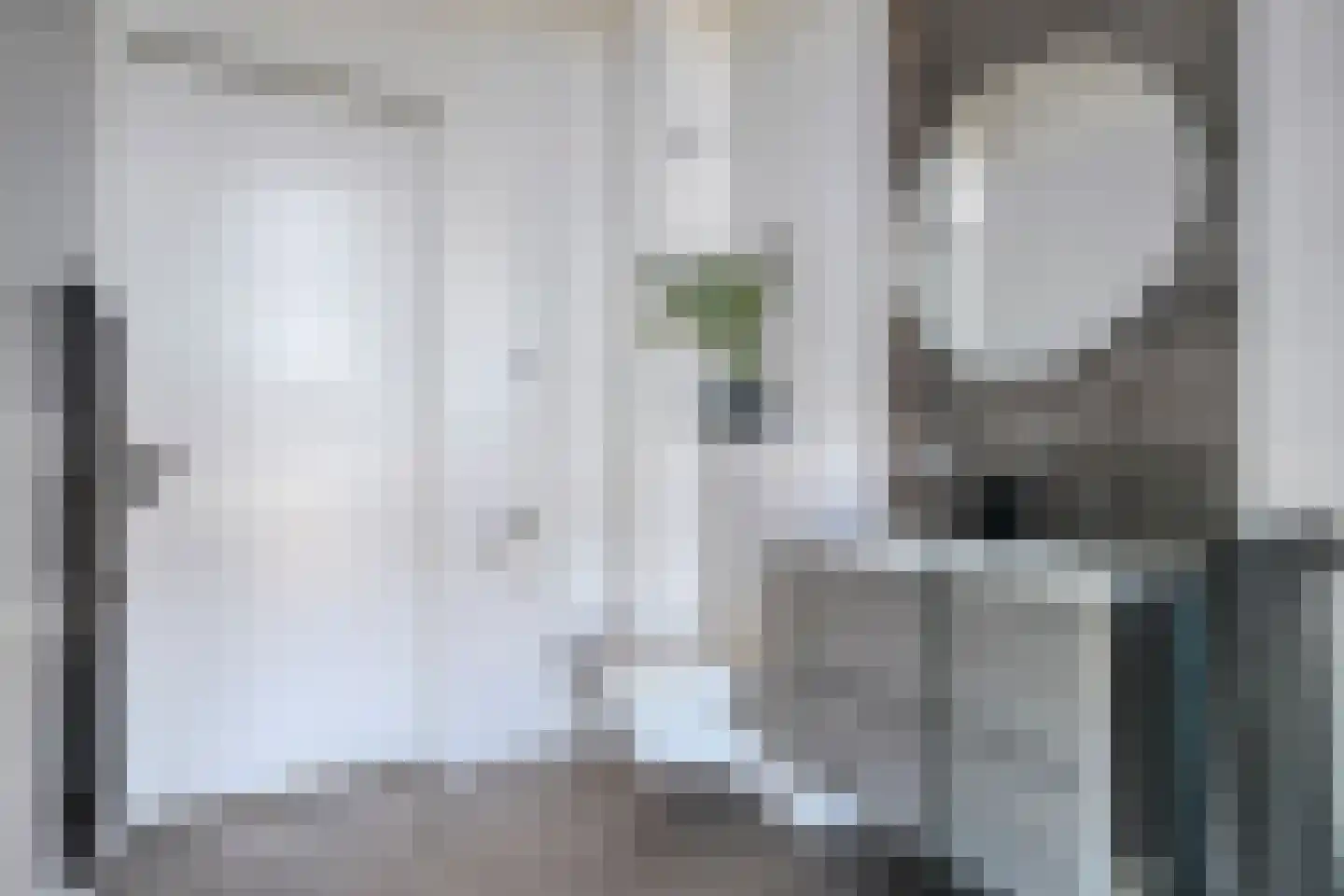 Taftstraat 33 Helmond thumbnail 28