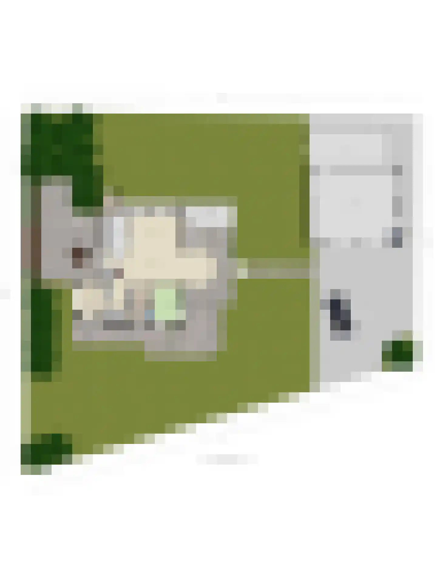 Taftstraat 33 Helmond thumbnail 33