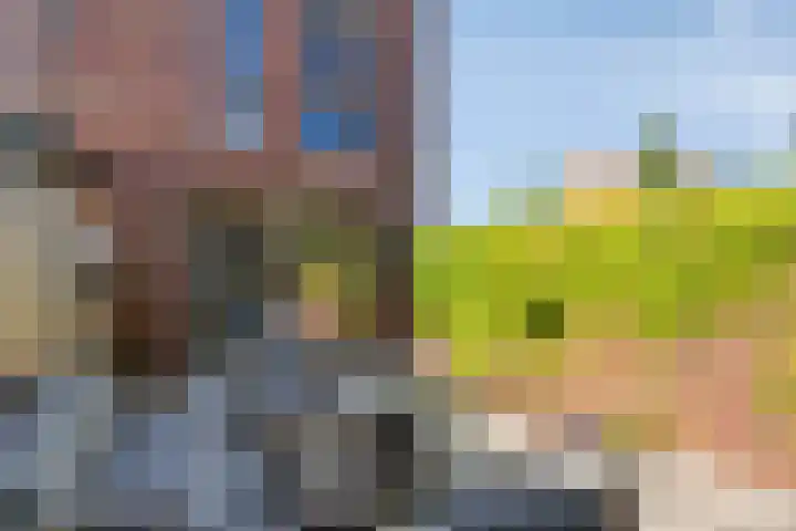 Taftstraat 33 Helmond thumbnail 6