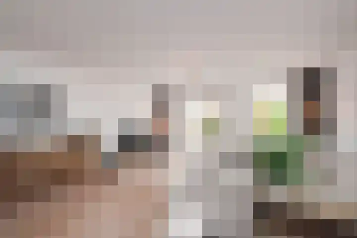 Tahiti 45 Zoetermeer thumbnail 12