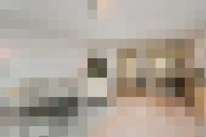 Tahiti 45 Zoetermeer thumbnail 13