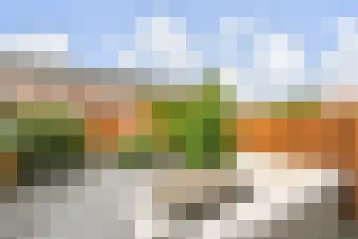 Tahiti 45 Zoetermeer thumbnail 15