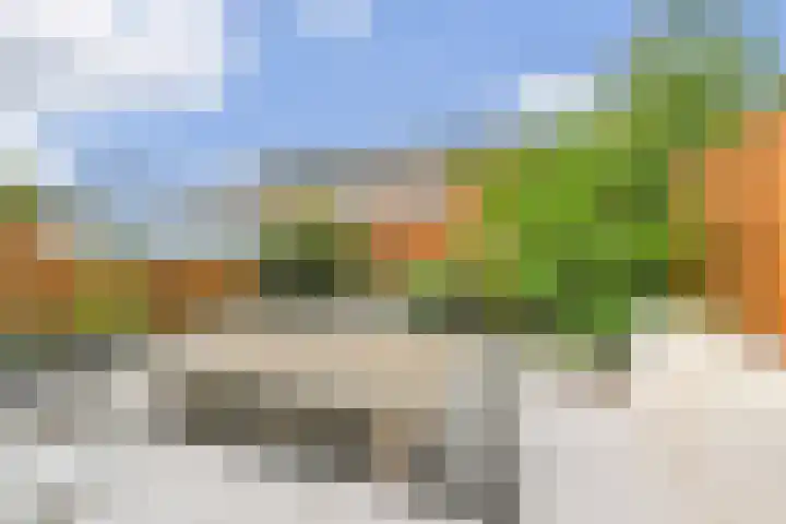 Tahiti 45 Zoetermeer thumbnail 16