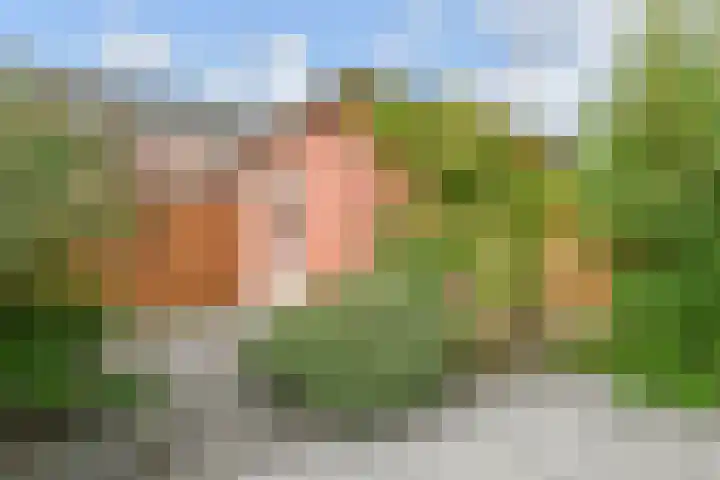 Tahiti 45 Zoetermeer thumbnail 17