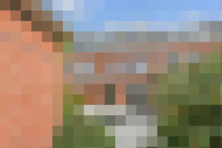 Tahiti 45 Zoetermeer thumbnail 18