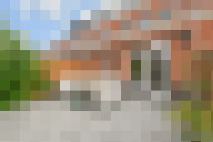 Tahiti 45 Zoetermeer thumbnail 19