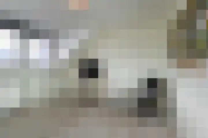 Tahiti 45 Zoetermeer thumbnail 31