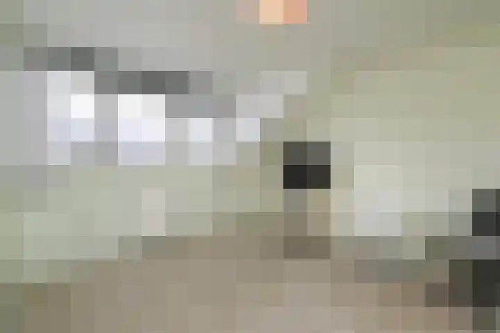 Tahiti 45 Zoetermeer thumbnail 32